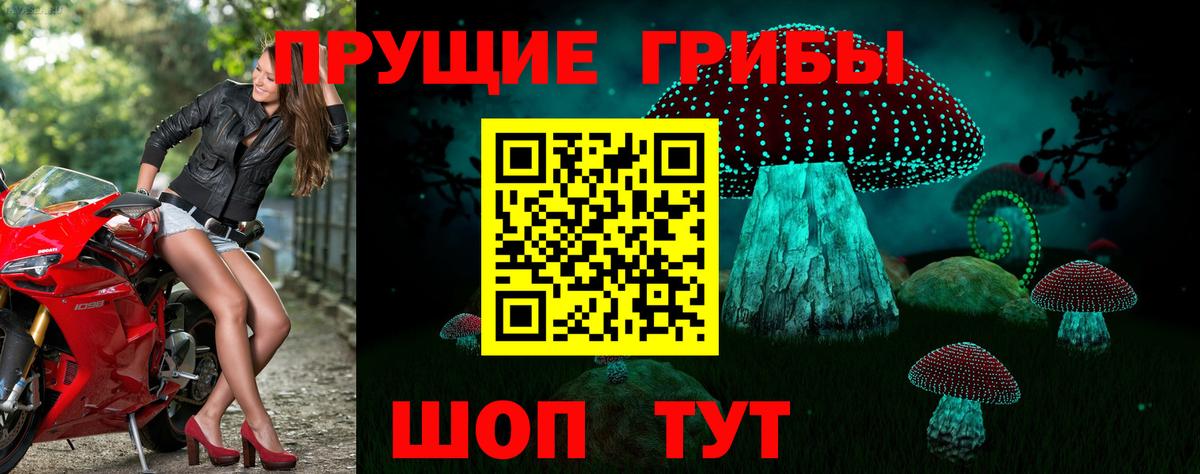 Галлюциногенные грибы Magic Shrooms  Вход с VPN  Карабулак  Псилоцибиновые грибы Psilocybe 